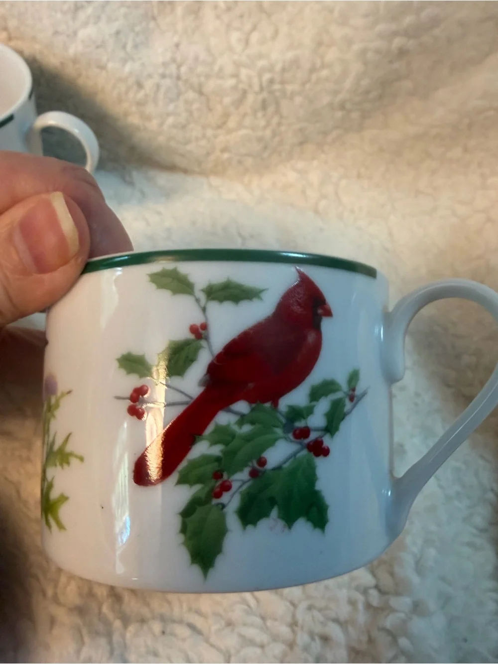 2 Vintage National Wildlife Federation “American Songbirds” Tea Cups. RARE